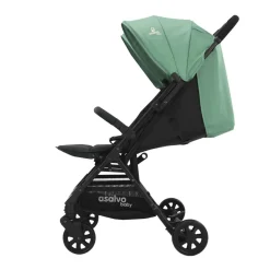 ASALVO - Silla de Paseo Gemelar Henry Verde* Trío Y Accesorios·Trío Y Dúo Gemelares