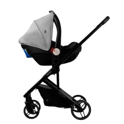 ASALVO - Trío Newton Gris