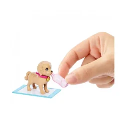 MATTEL Barbie - Muñeca adopta perritos* Muñecas