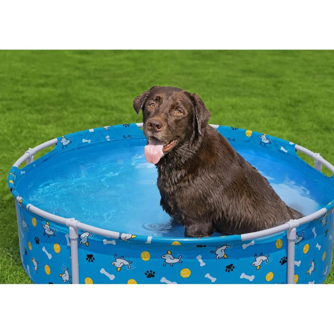 BEST WAY BestWay - Piscina de juego para mascotas* Piscinas|Juguetes De Verano