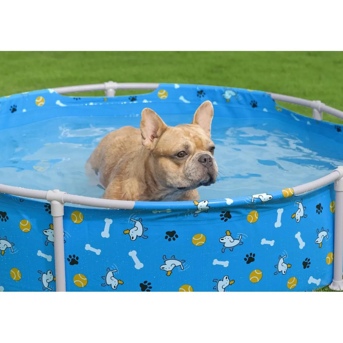 BEST WAY BestWay - Piscina de juego para mascotas* Piscinas|Juguetes De Verano