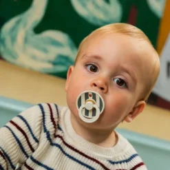 BIBS - Pack 2 chupetes Colour 6-18 meses - Ruby/Pine Mix