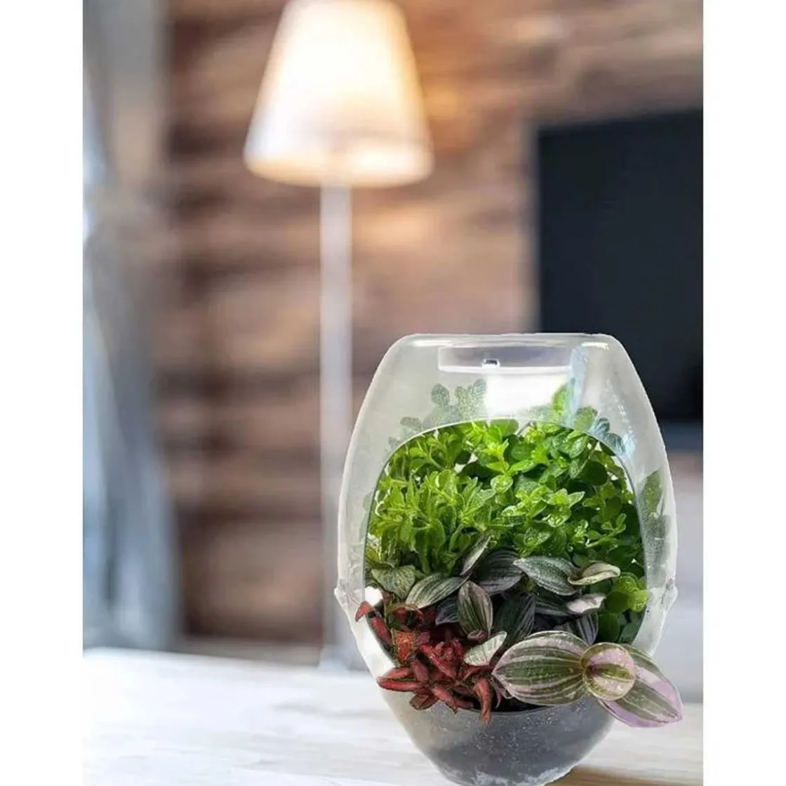 CEFA Toys - Terrario educativo con luz y libro guía Botani Plus ㅤ