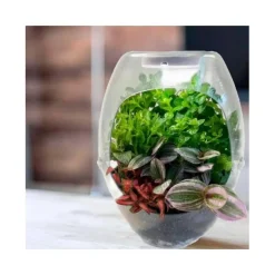 CEFA Toys - Terrario educativo con luz y libro guía Botani Plus ㅤ