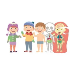 MONTESSORI Clementoni - El Cuerpo Humano* Juguetes Educativos Y Libros|Juegos Y Puzzles