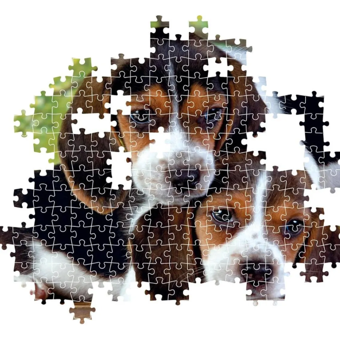 CLEMENTONI - Puzzle 500 piezas High Quality Collection - Close Together