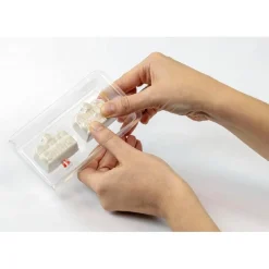 CLEMENTONI - Stranger Things - Terrario The Upside Down* Steam