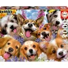 EDUCA BORRAS - Puzzle Paisaje Perros 1000 Piezas ㅤ