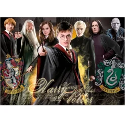 EDUCA BORRAS Educa Borrás - Puzzle 1000 piezas Harry Potter* Juegos Y Puzzles