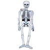 TOYS "R" US Esqueleto de papel 140 cm* Disfraces|Halloween