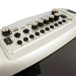 FAMOSA Giochi Preziosi - Sistema de karaoke portátil con micrófono inalámbrico