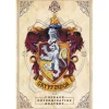 ABYSSE CORP Harry Potter - Poster Gryffindor Harry Potter 61 x 91.5 cm* Friki Zone|Merchandising