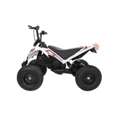 INJUSA - Quad Hunter 24V