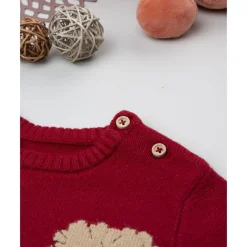 Prenatal Jersey de niño rojo con bordados de animales* Recién Nacido·Ropa Y Accesorios|Ropa Y Accesorios·Punto