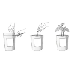 GARDEN POCKET Kit de cultivo de cilantro