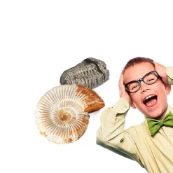 CLEMENTONI Miniset Kit de paleontología* Steam