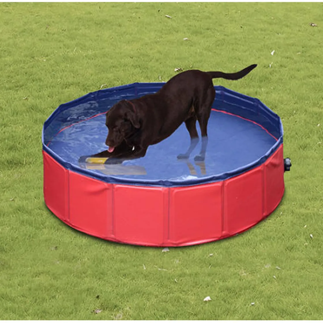 PawHut Piscina plegable para mascotas 160 cm* Coleccionables Y Mini Mundos