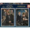 EDUCA BORRAS Puzzles Fantastic Beast 2x500 piezas con cola fix incluida