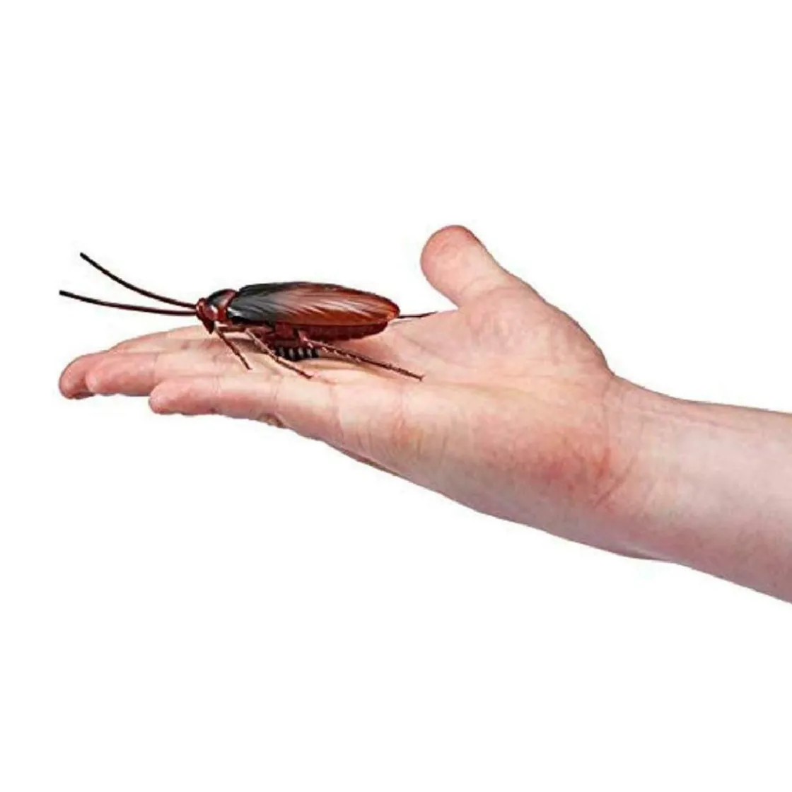 ARDITEX Robo Alive - Cucaracha robótica que brilla en la oscuridad* Figuras De Acción