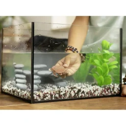 SCHLEICH - Tortuga Carey