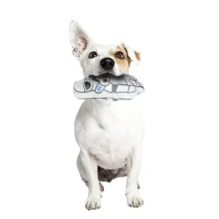 ARTESANIA CERDÁ Star Wars - Soldado Imperial - Peluche para perros* Coleccionables Y Mini Mundos