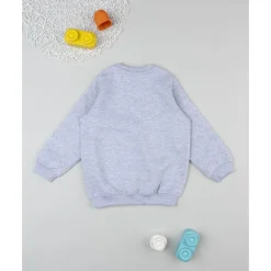 Prenatal Sudadera gris Pokémon* Niño·Niño 2-10 Años|Niño 2-10 Años·Abrigos Y Plumíferos