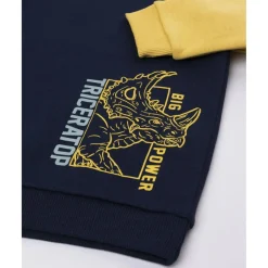 Prenatal Sudadera niño azul/amarilla “Triceratops” raglán* Niño·Niño 2-10 Años|Niño 2-10 Años·Abrigos Y Plumíferos