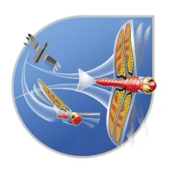 SUN&SPORT Sun & Sport - Dragonfly