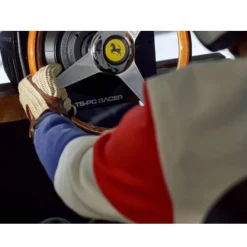 NEXT LEVEL RACING Thrustmaster - Volante Ferrari 250 GTO - PC